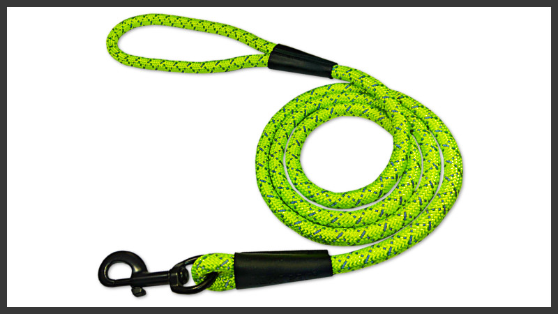 Photo of Leash for Lighthound.