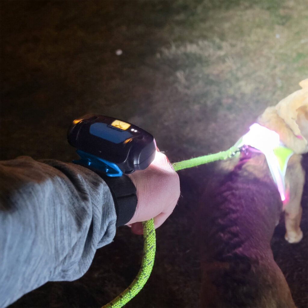 Wrist light illuminating a dog in front of someone.
