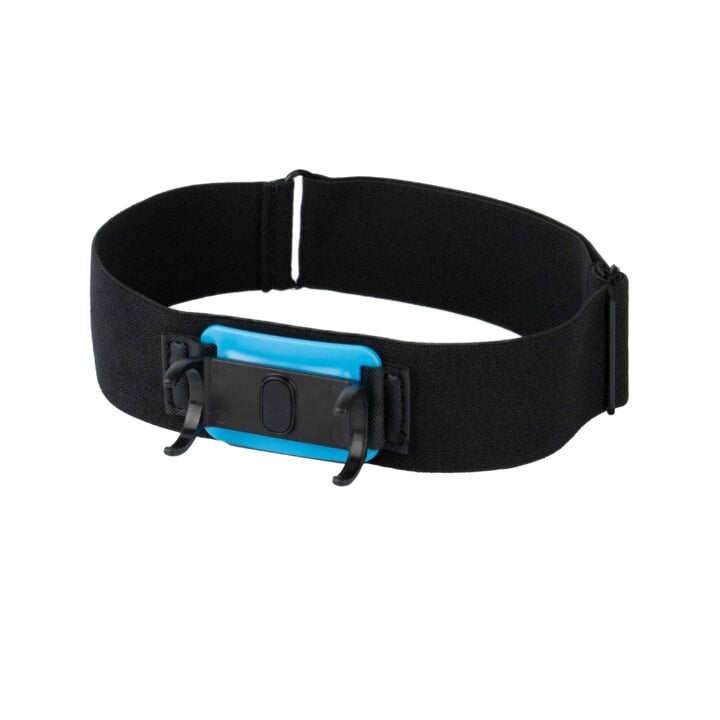 A black belt with a blue buckle and head strap.
