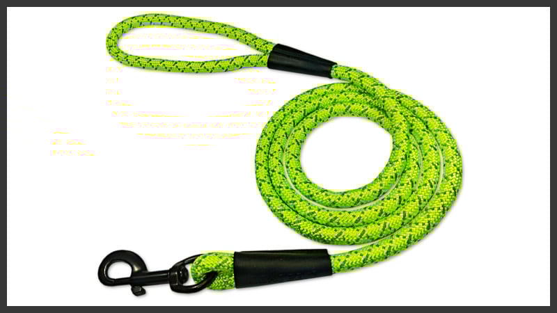 High Visibility Dog Leash