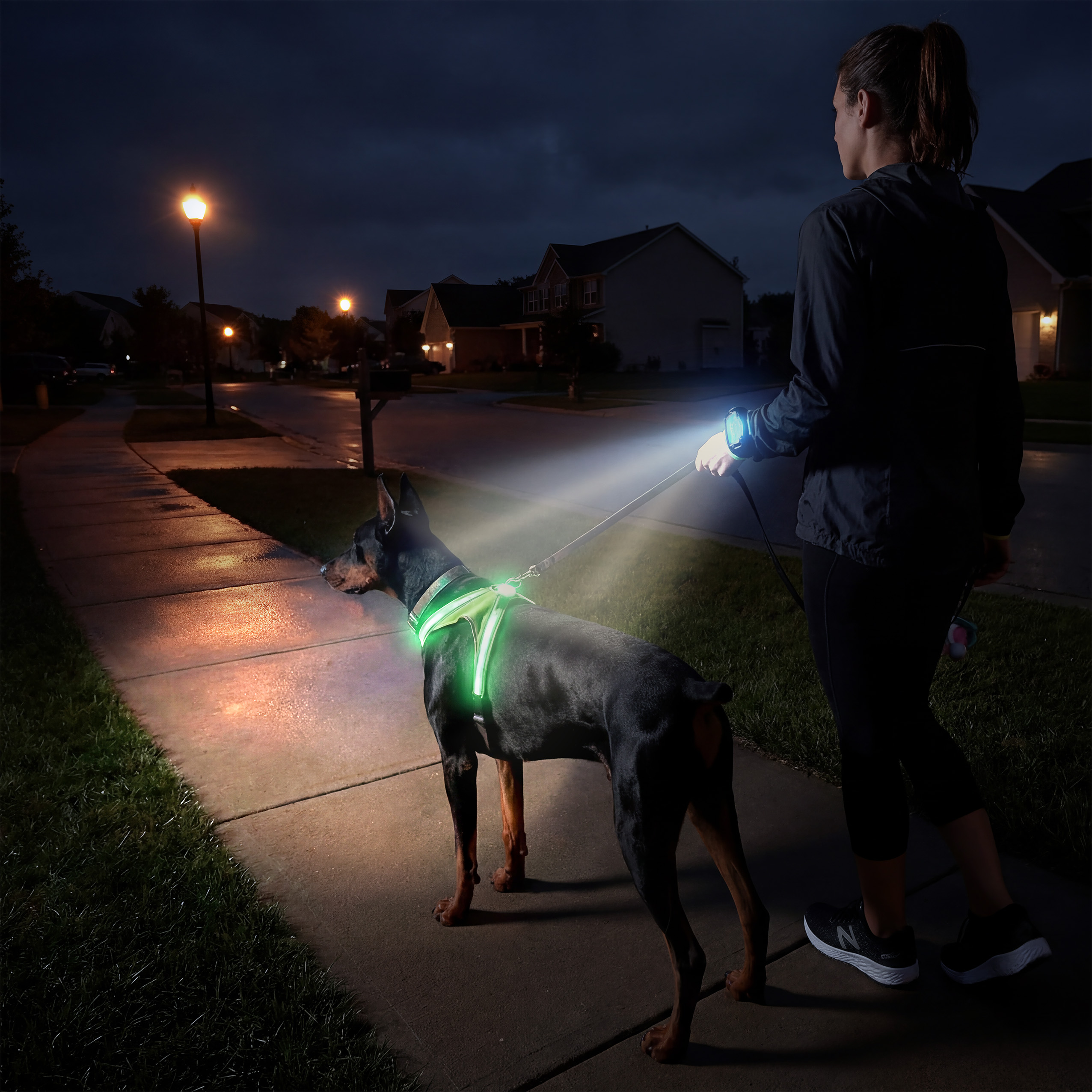 A woman walks a dog with the path illuminated.