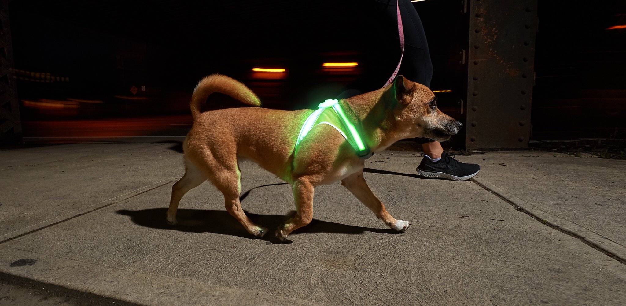 noxgear lighthound led illuminated & reflective dog harness